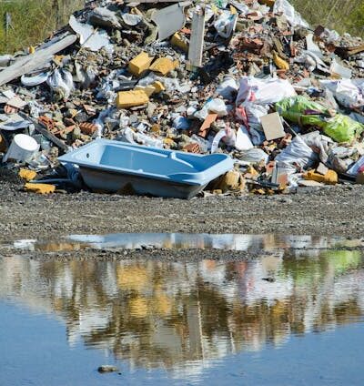 Restauración del Ecosistema en Topolobampo: Recuperando la Biodiversidad Microbiana