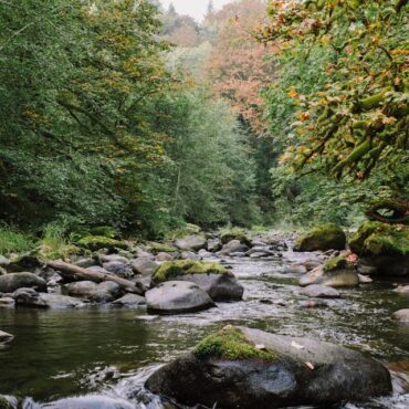 pexels-kelly-1179532-28288060