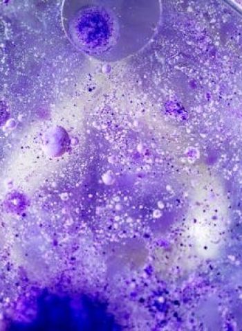 pexels-marek-piwnicki-3907296-20105299