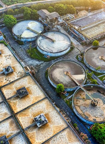 pexels-tomfisk-5115946